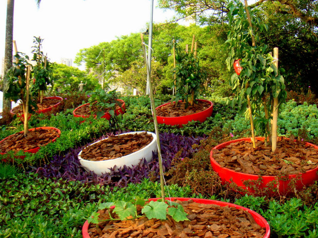 imagens jardins flores:Ideias e Imagens de Jardins – Flores Jardim imagens jardins flores:Ideias e Imagens de Jardins – Flores Jardim