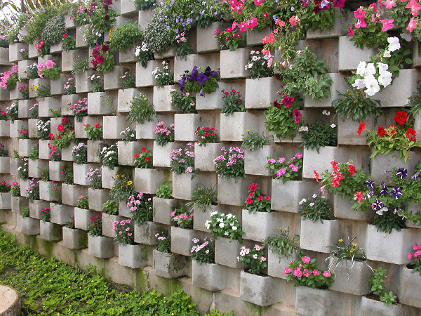 plantas jardins flores:Parede de sala revestida de várias plantas verdes. plantas jardins flores:Parede de sala revestida de várias plantas verdes.