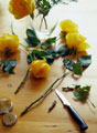 Preparação de um bouquet de flores amarelas