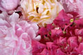 Bouquet de Rosas, Peonies e Hydrangeas