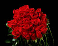 Bouquet de rosas vermelhas.
