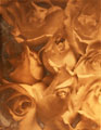 Foto de arranjo de rosas amareladas e aglumeradas