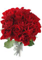 Ramo, bouquet de rosas vermelhas