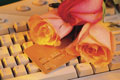 Rosas e cartão de crédito em cima de teclado de computador
